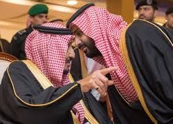 حالة انسانية