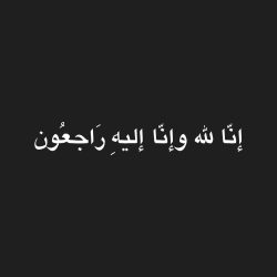 محمد بن أحمد المصلحي